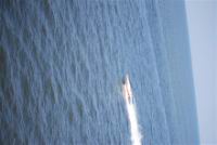 DSC_0495 (Custom).jpg